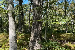 44892 Minerton Rd, Wilkesville Twp, OH 45686 - Photo 65