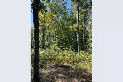 44892 Minerton Road, Wilkesville Twp, OH 45686 - Photo 75