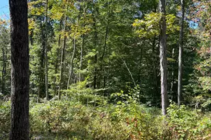 44892 Minerton Rd, Wilkesville Twp, OH 45686 - Photo 75