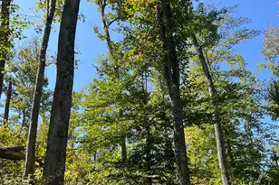 44892 Minerton Rd, Wilkesville Twp, OH 45686 - Photo 81