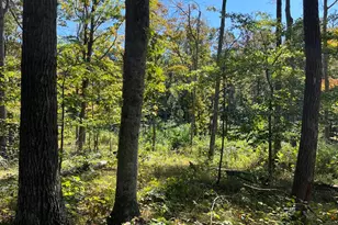 44892 Minerton Rd, Wilkesville Twp, OH 45686 - Photo 61