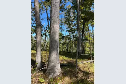 44892 Minerton Road, Wilkesville Twp, OH 45686 - Photo 47