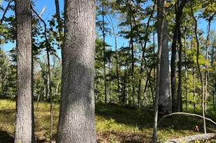 44892 Minerton Rd, Wilkesville Twp, OH 45686 - Photo 47