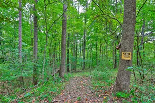 489 Emerson Rd, Madison Township, OH 45042 - Photo 65