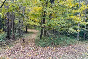 111 W Everton Rd, Connersville, IN 47331 - Photo 57