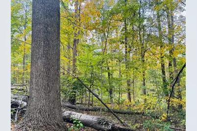 111 W Everton Road, Connersville, IN 47331 - Photo 61