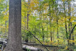 111 W Everton Rd, Connersville, IN 47331 - Photo 61