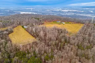 3064 Tater Ridge Rd, West Union, OH 45693 - Photo 49