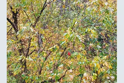 2121 Sutton Avenue #3B, Cincinnati, OH 45230 - Photo 27