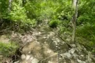 2464 Oxford Middletown Rd, Milford Township, OH 45013 - Photo 27