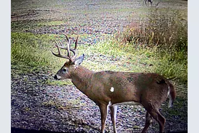 52 Moore Road, Tate Township, OH 45106 - Photo 21