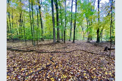 52 Moore Road, Tate Township, OH 45106 - Photo 17