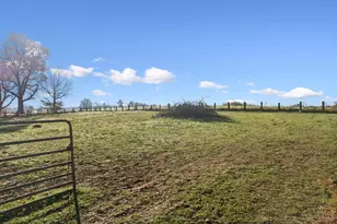 8210 George Miller, Jefferson Township, OH 45168 - Photo 39