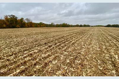 11 Steele Road, Washington Township, OH 45177 - Photo 1