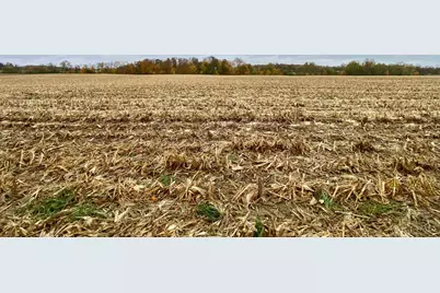 11 Steele Road, Washington Township, OH 45177 - Photo 5