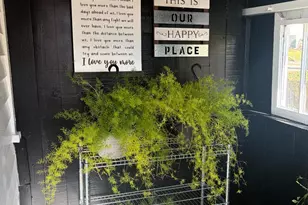 6240 Red Bank Rd, Cincinnati, OH 45213 - Photo 13