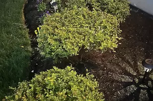 5750 Azra Ct, Hamilton Township, OH 45152 - Photo 79