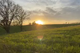 7925 St Rt 41, West Union, OH 45693 - Photo 33