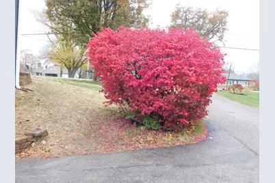 6662 Daleview Road, Colerain Township, OH 45247 - Photo 9