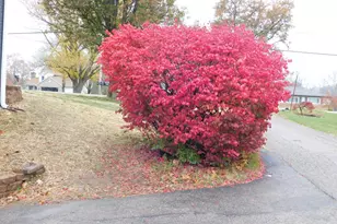 6662 Daleview Rd, Colerain Township, OH 45247 - Photo 9