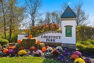 3596 Chestnut Park Ln, Miami Township, OH 45002 - Photo 29