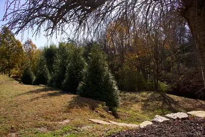 3807 Lucy Run Cemetery Road, Batavia Township, OH 45103 - Photo 5