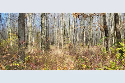 1670 Woodville Pike, Goshen, OH 45140 - Photo 3