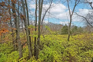 920 Woodlyn Dr N, Anderson Township, OH 45230 - Photo 19