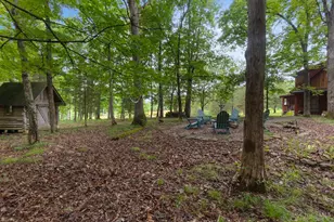 125 Robinette Rd, West Union, OH 45693 - Photo 47