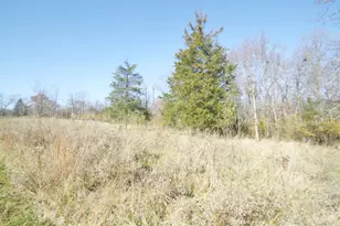 4014 S State Line Rd, Morgan Township, OH 45053 - Photo 51