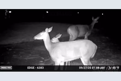 234 Jordan Street, Richland Township, OH 45166 - Photo 19