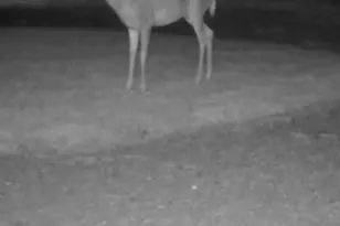 234 Jordan St, Richland Township, OH 45166 - Photo 21