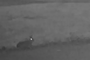 234 Jordan St, Richland Township, OH 45166 - Photo 15