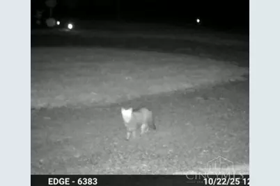 234 Jordan Street, Richland Township, OH 45166 - Photo 17