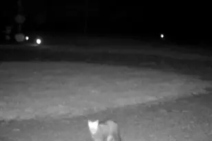 234 Jordan St, Richland Township, OH 45166 - Photo 17