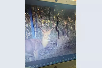 4702 Brush Creek Rd, Manchester, OH 45144 - Photo 51