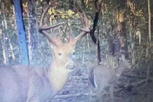 4702 Brush Creek Rd, Manchester, OH 45144 - Photo 51