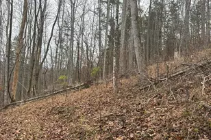 4702 Brush Creek Rd, Manchester, OH 45144 - Photo 47