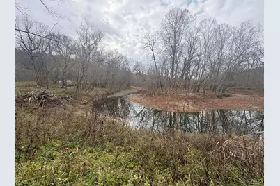 4702 Brush Creek Rd, Manchester, OH 45144 - Photo 39