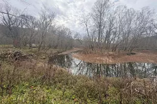 4702 Brush Creek Rd, Manchester, OH 45144 - Photo 39