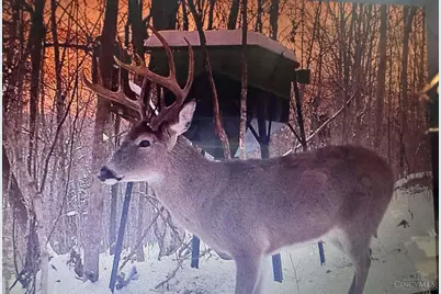 4702 Brush Creek Rd, Manchester, OH 45144 - Photo 49