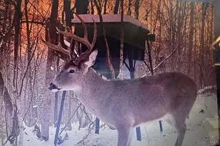 4702 Brush Creek Rd, Manchester, OH 45144 - Photo 49