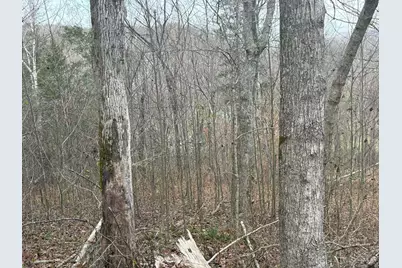 4702 Brush Creek Rd, Manchester, OH 45144 - Photo 43