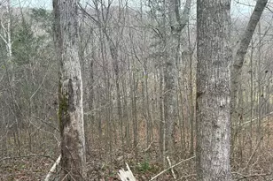 4702 Brush Creek Rd, Manchester, OH 45144 - Photo 43