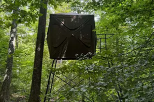 4702 Brush Creek Rd, Manchester, OH 45144 - Photo 49