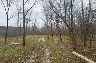 4702 Brush Creek Rd, Manchester, OH 45144 - Photo 37