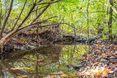 125 Dobbin Court, Monroe, OH 45050 - Photo 9