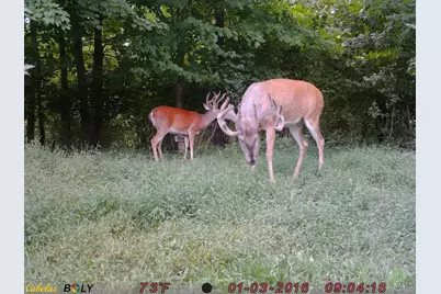 1333 Cross Creek Drive, Goshen, OH 45140 - Photo 47