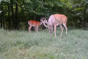 1333 Cross Creek Dr, Goshen, OH 45140 - Photo 47