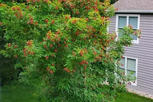 7922 Barharbor Dr, Anderson Township, OH 45255 - Photo 73